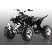 110CC ATV-2